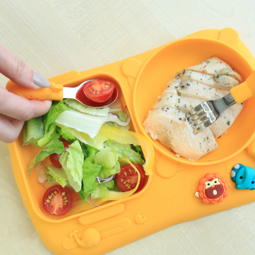 Creativplate With Suction